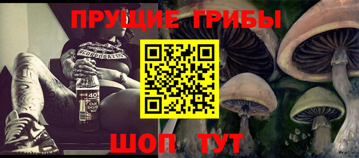 Каменск-Уральский  Псилоцибиновые грибы Psilocybe  Вход с VPN  Псилоцибиновые грибы Cubensis 